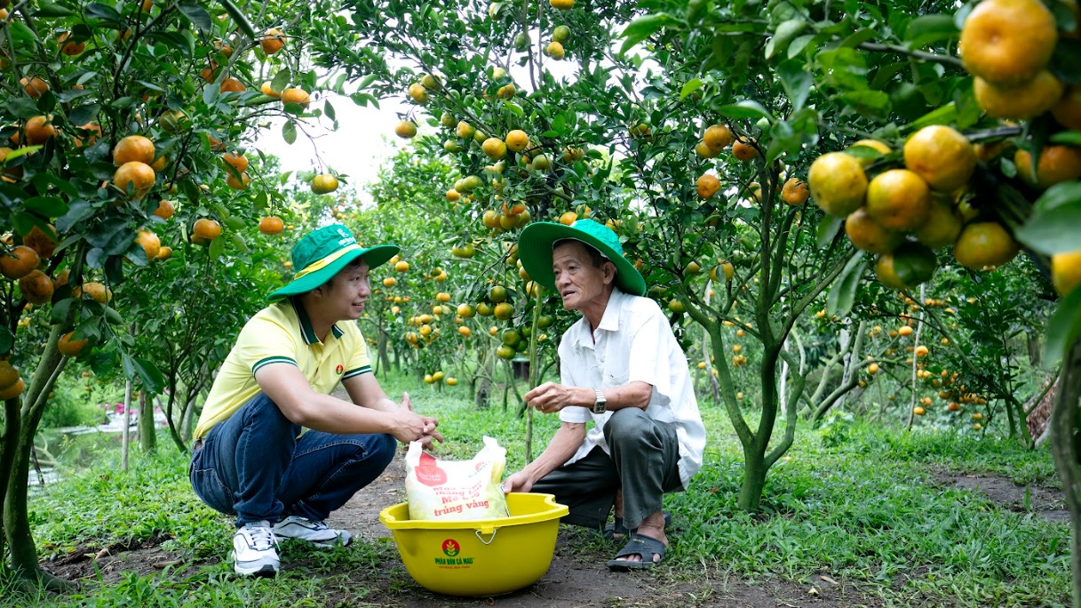 Phân bón Cà Mau: Kỹ thuật trao tay - Vượt khó khăn ngay