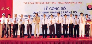 Hệ thống chính trị của Tập đoàn Công nghiệp Than - Khoáng sản Việt Nam