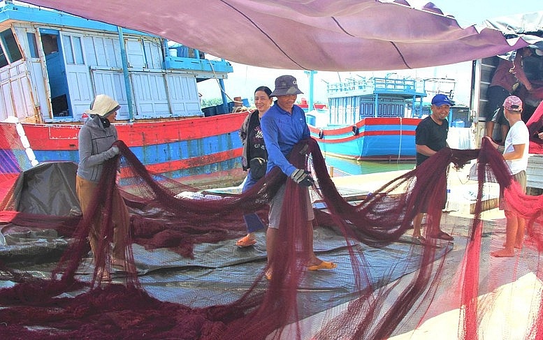 Quảng Nam quyết tâm hoàn thành đăng ký, cấp phép tàu cá dưới 12m trong tháng 10