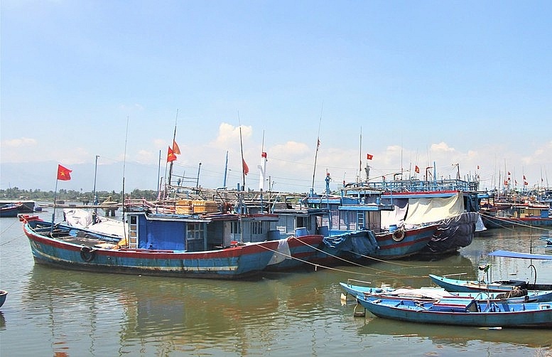 Quảng Nam quyết tâm hoàn thành đăng ký, cấp phép tàu cá dưới 12m trong tháng 10