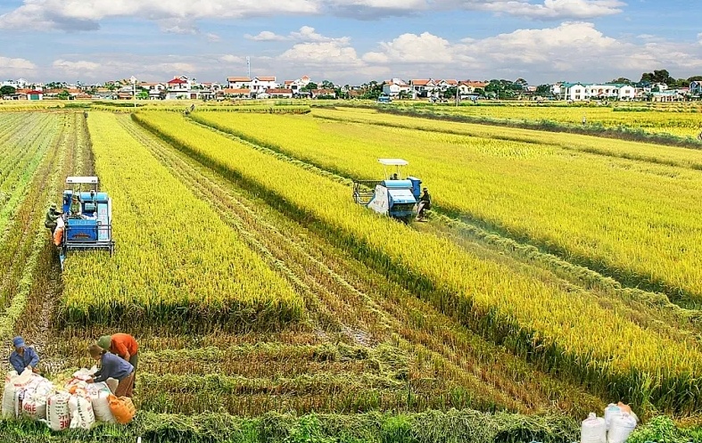 Nếu đất khỏe, con người sẽ khỏe, thế hệ sau sẽ khỏe