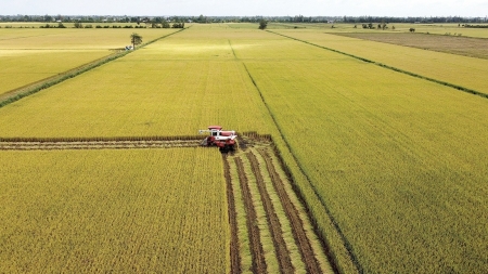 Những ý kiến tâm huyết sửa đổi Luật Thuế giá trị gia tăng