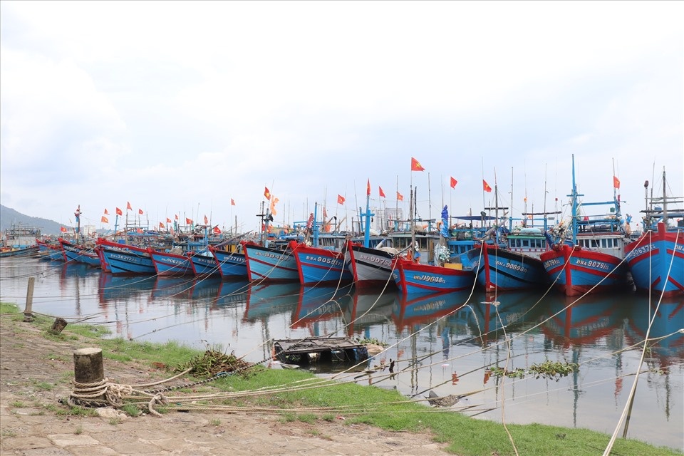 Thủ tướng chỉ đạo 11 tỉnh, thành phố và 8 Bộ chủ động ứng phó bão Trami