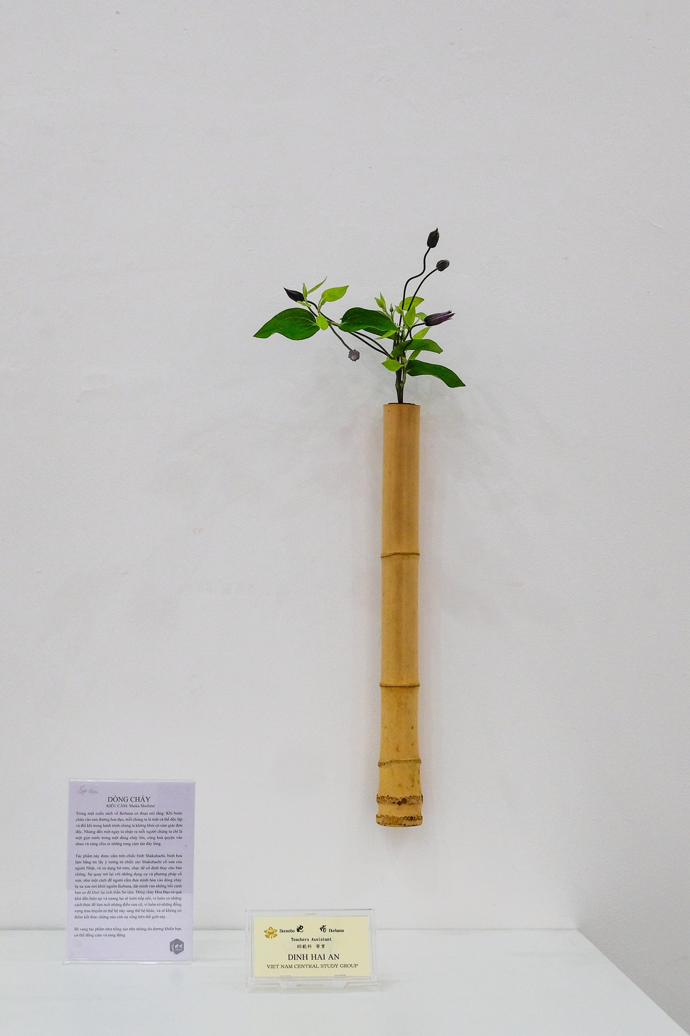 Triển lãm Ikebana Hà Nội lần thứ VII: Trở về tâm thế thuần khiết