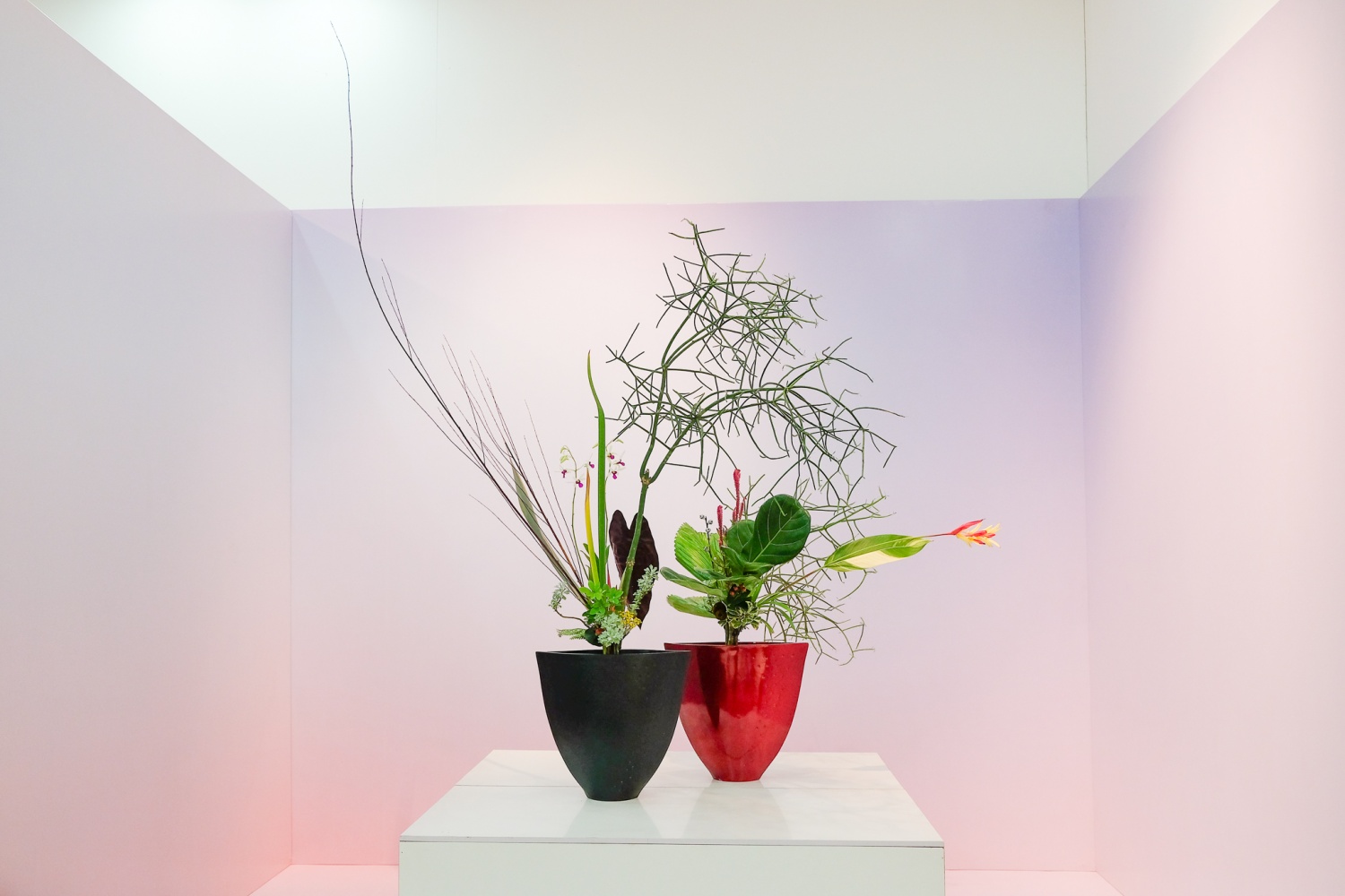 Triển lãm Ikebana Hà Nội lần thứ VII: Trở về tâm thế thuần khiết