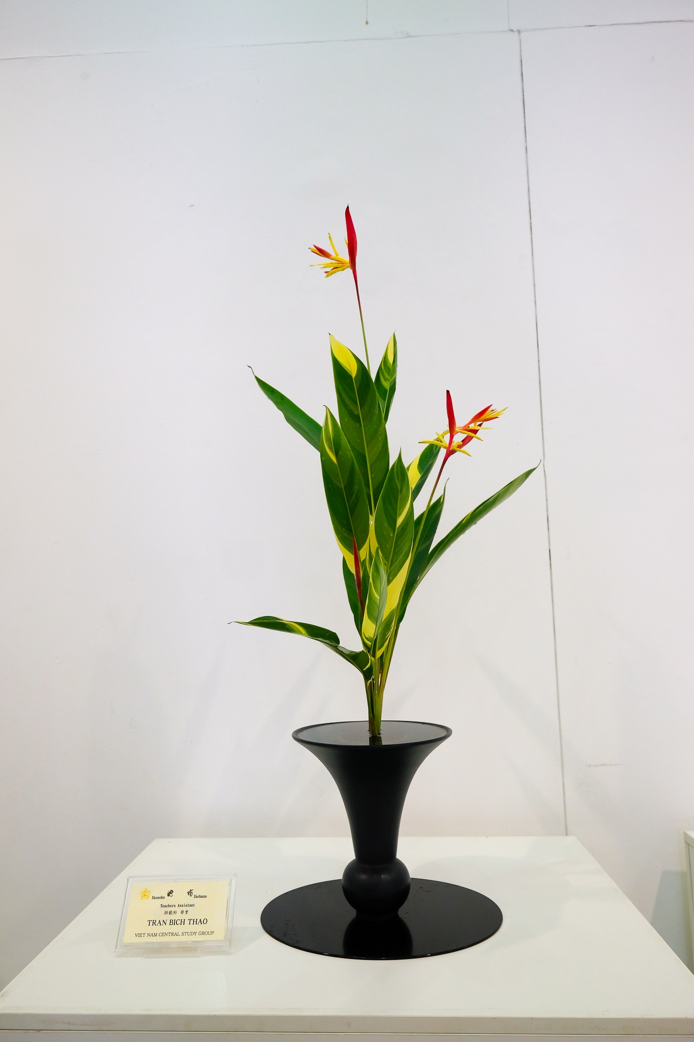 Triển lãm Ikebana Hà Nội lần thứ VII: Trở về tâm thế thuần khiết