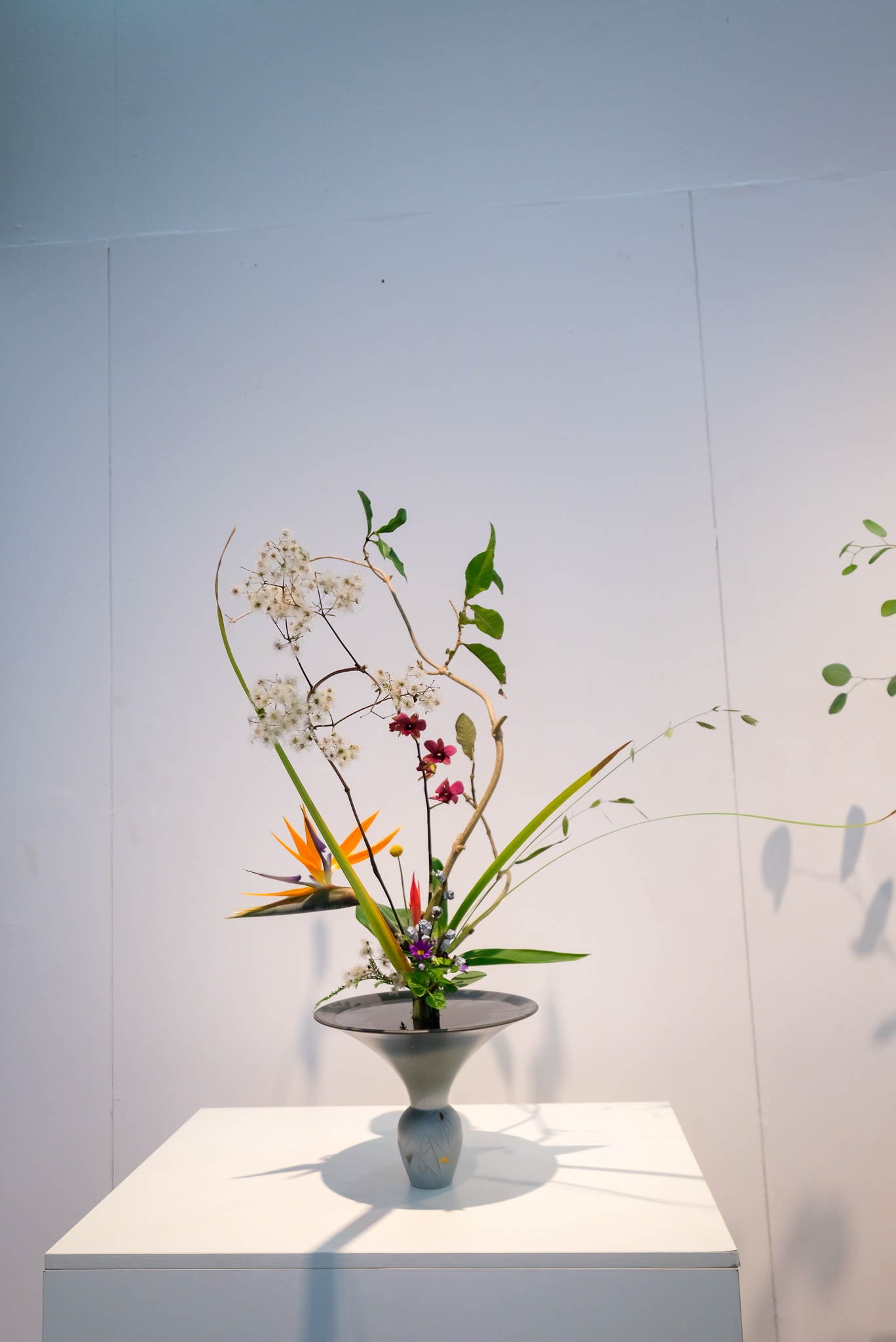 Triển lãm Ikebana Hà Nội lần thứ VII: Trở về tâm thế thuần khiết