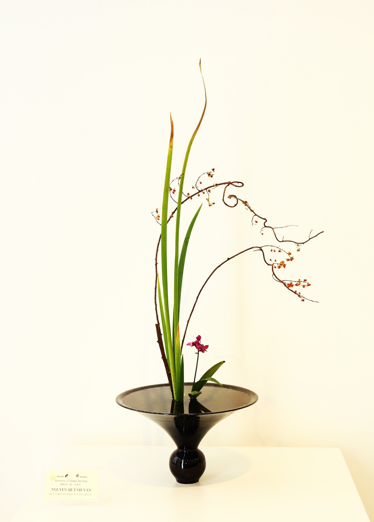 Triển lãm Ikebana Hà Nội lần thứ VII: Trở về tâm thế thuần khiết