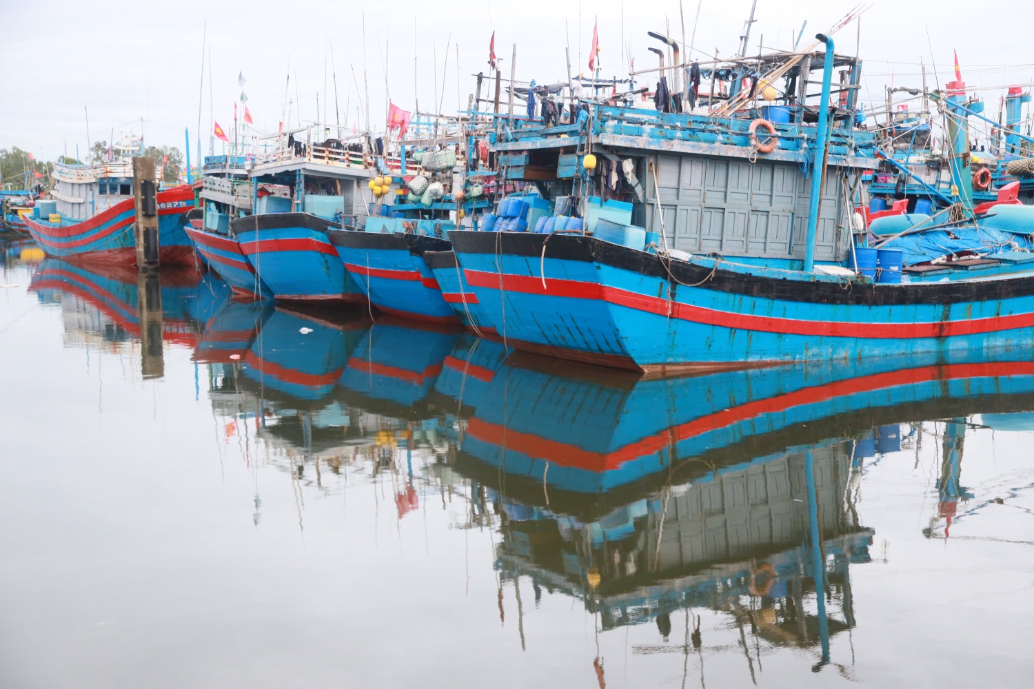 Việc cấm khai thác thủy sản có thời hạn sẽ góp phần tạo thời gian, điều kiện cho các loài thủy sản sinh trưởng, phát triển.