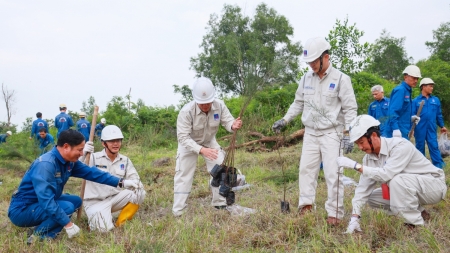 Ban Bảo dưỡng sửa chữa và Văn phòng BSR phát động trồng 2.500 cây xanh tại NMLD Dung Quất