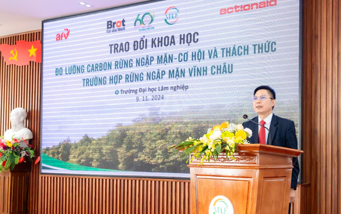 Tìm ra phương pháp tự đo lường carbon của các loài cây rừng ngập mặn