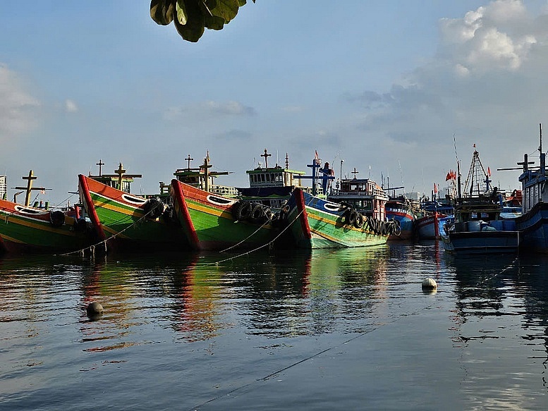 Quảng Nam: Để phát sinh tàu cá 