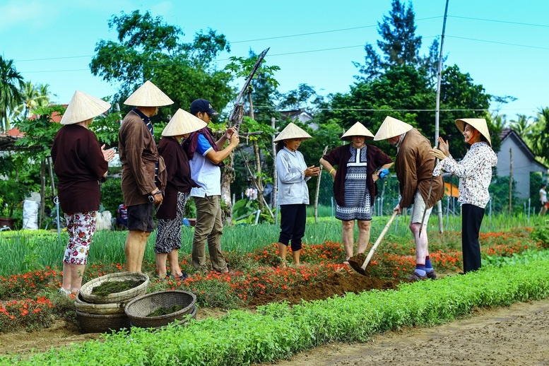 Làng rau Trà Quế được công nhận 