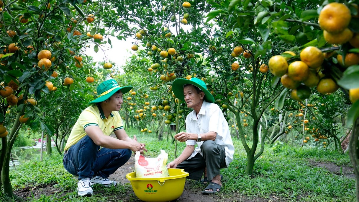 Đưa phân bón vào đối tượng chịu thuế GTGT mang lại lợi ích cho ngành nông nghiệp và nông dân