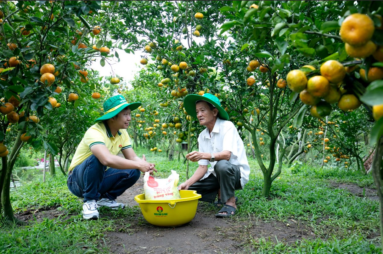 Đưa phân bón vào đối tượng chịu thuế mang lại lợi ích cho ngành nông nghiệp và nông dân