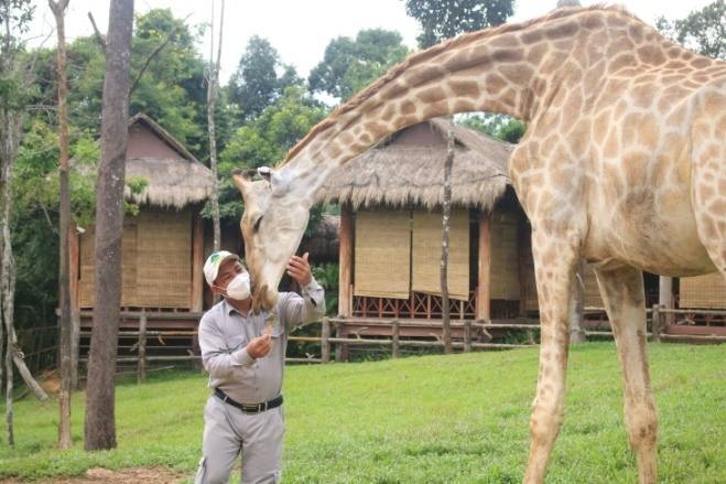 Khám phá cuộc sống hoang dã “thời giãn cách” bên trong công viên bảo tồn lớn bậc nhất châu Á