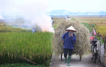 Khói rơm rạ phủ trắng cửa ngõ Hà Nội