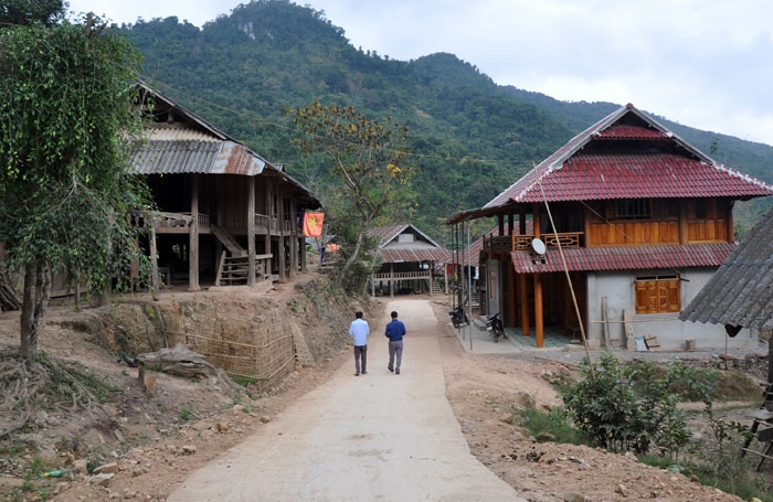 ban trang khat vong hoi sinh