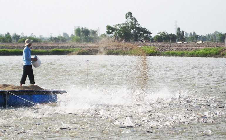 Những cơ hội lớn cho doanh nghiệp thuỷ sản