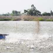 Những cơ hội lớn cho doanh nghiệp thuỷ sản