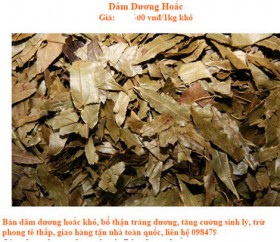 Bi hài… dâm dương hoắc