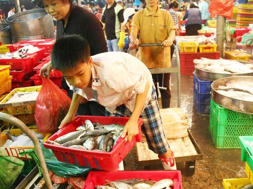 lao dong tre em thuc trang nan giai