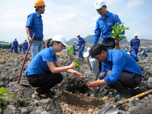 Than Núi Béo: Tích cực bảo vệ môi trường