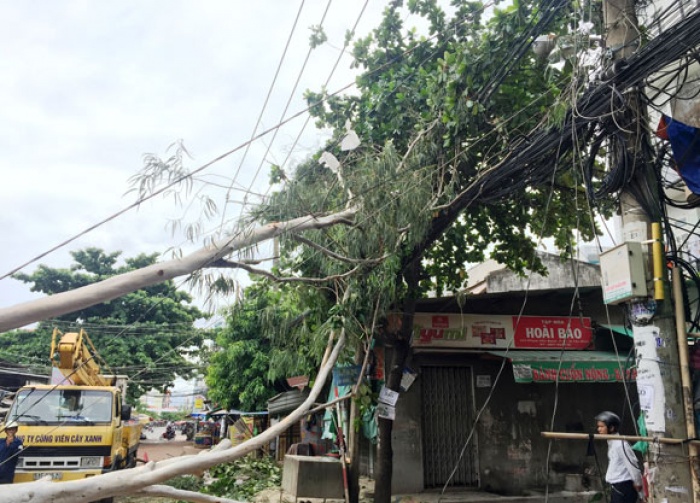 troi khong mua cay bat goc de nha dan nguoi phu nu bi thuong