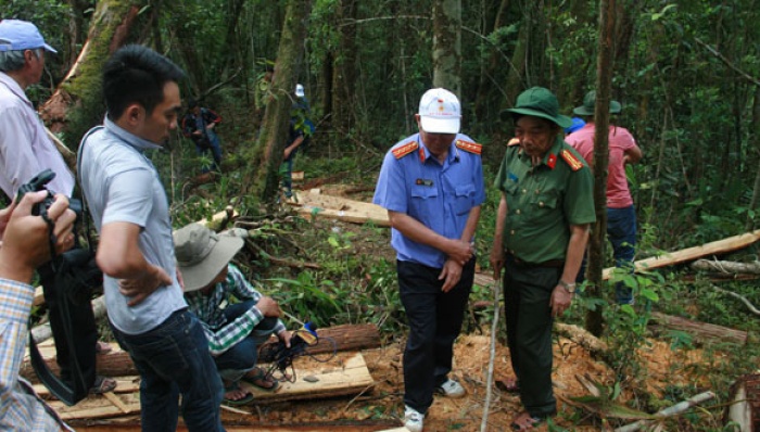 quang nam va se kong lao thanh lap to cong tac dac biet dieu tra vu pha rung po mu