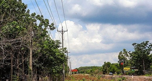 binh phuoc tran tro noi lo mat an toan luoi dien