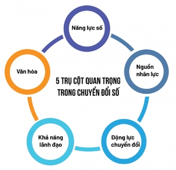 Đẩy nhanh sự thích ứng chuyển đổi số