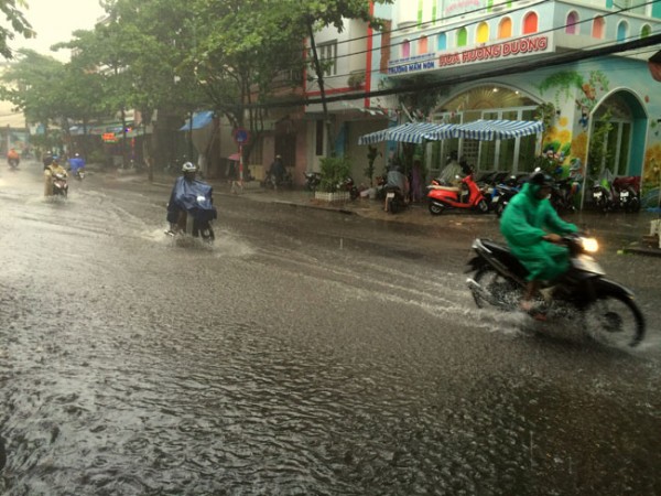 da nang hoi ha ung pho voi bao so 3