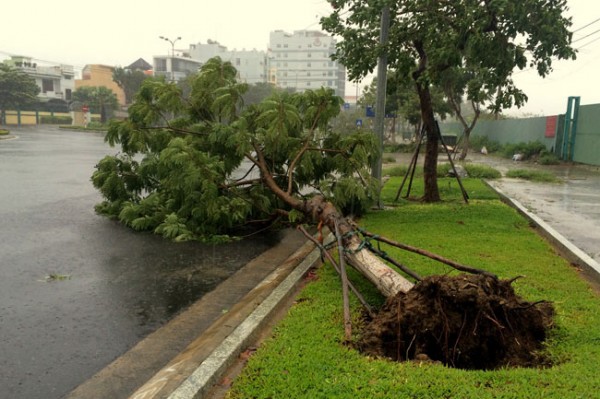 da nang hoi ha ung pho voi bao so 3