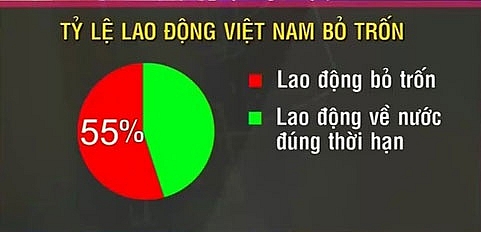 lao dong xuat khau khong tro ve vi sao