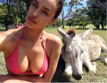 [PHOTO] Irina Shayk 'gây bão' khi ví Ronaldo như con lừa