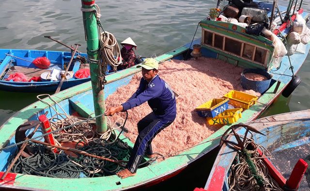 ngu dan binh dinh trung lon loc bien kiem tien trieu chi vai gio