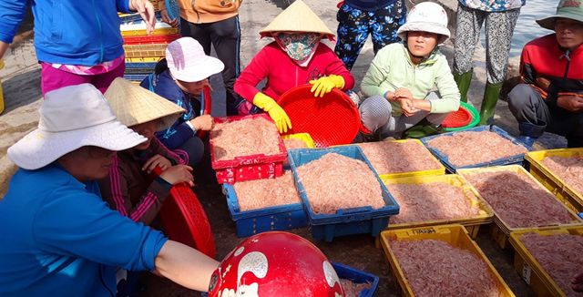 ngu dan binh dinh trung lon loc bien kiem tien trieu chi vai gio