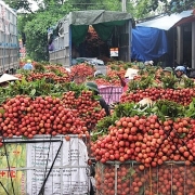 Thủ tướng chỉ đạo tháo gỡ khó khăn tiêu thụ nông sản cho Bắc Giang