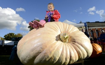 Những hình ảnh Halloween ấn tượng năm 2015