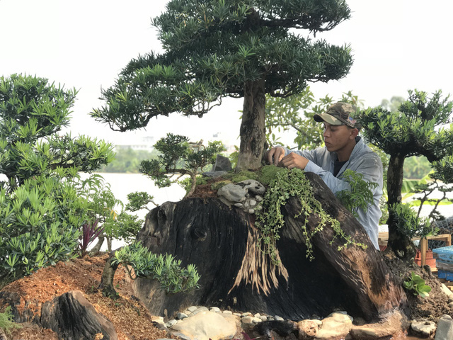 thuyen van nien tung sieu khung hang trung bay chu khong ban