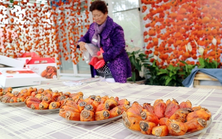 "Vàng - ngọt" mùa hồng giòn Đà Lạt