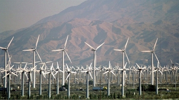 Mỹ: Lần đầu tiên điện gió đứng đầu ngành năng lượng tái tạo
