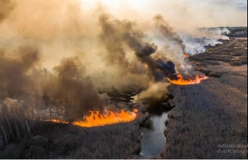 Chùm ảnh: Cháy rừng tấn công nhà máy điện hạt nhân Chernobyl ở Ukraine