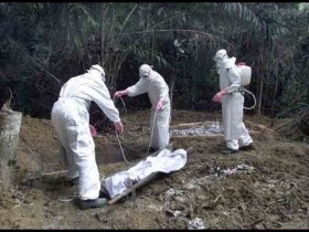 Thuốc chữa Ebola chỉ dành cho người da trắng?