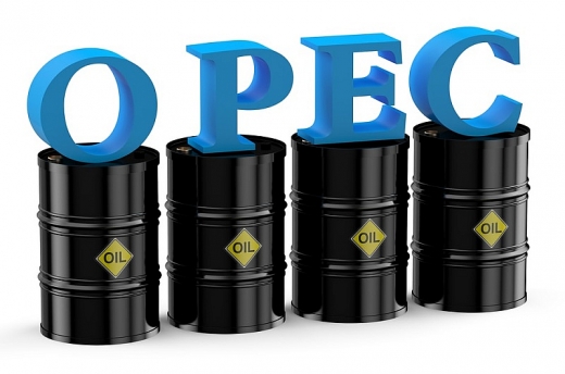 opec du bao nhu cau dau tang cao