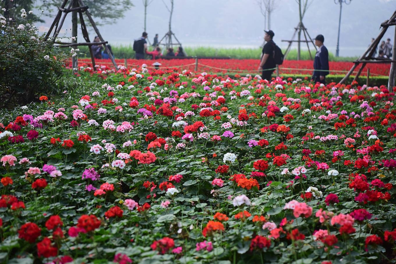 ha noi trang tri duong pho