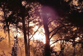 Hà Nội: Vì sao vụ cháy rừng phòng hộ tại Sóc Sơn cần đến 12 giờ để dập tắt?