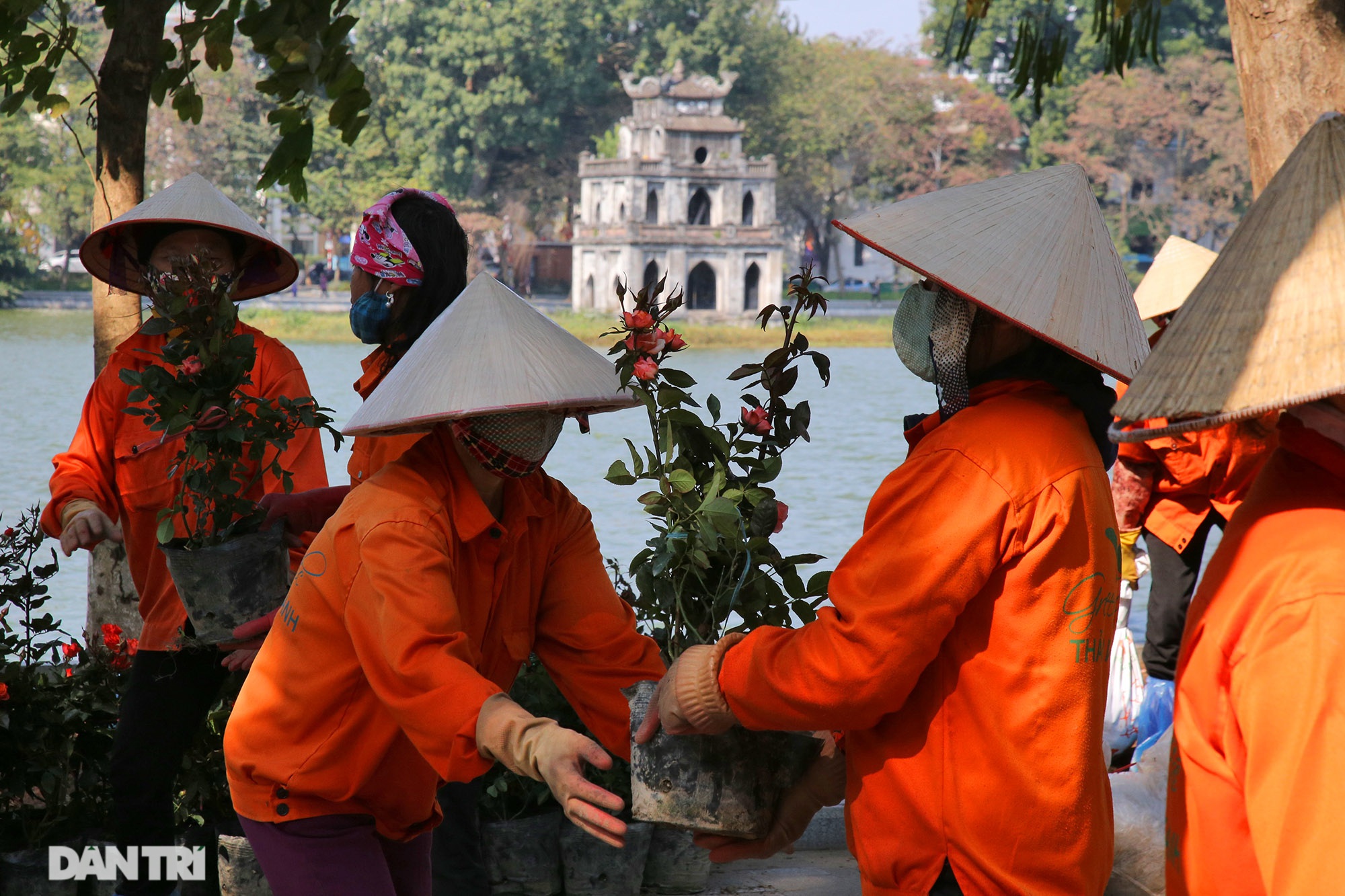 Hồ Gươm trang trí hoa rực rỡ sắc màu chào mừng Đại hội XIII của Đảng - 2