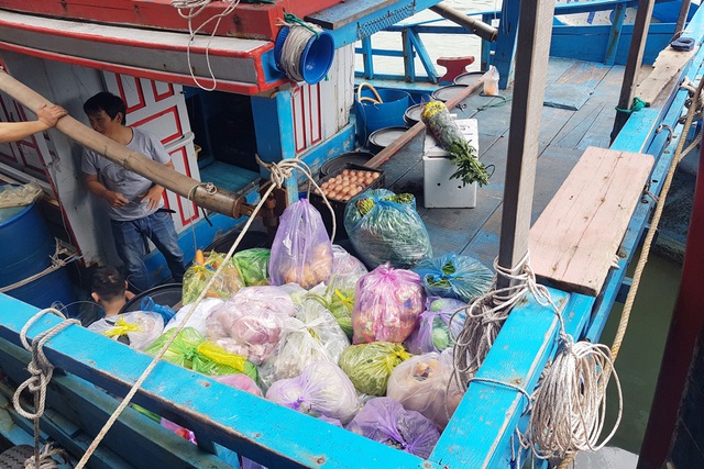 Khánh Hòa: Ngư dân bỏ Tết vươn Trường Sa, bám vụ cá ngừ đại dương - 2