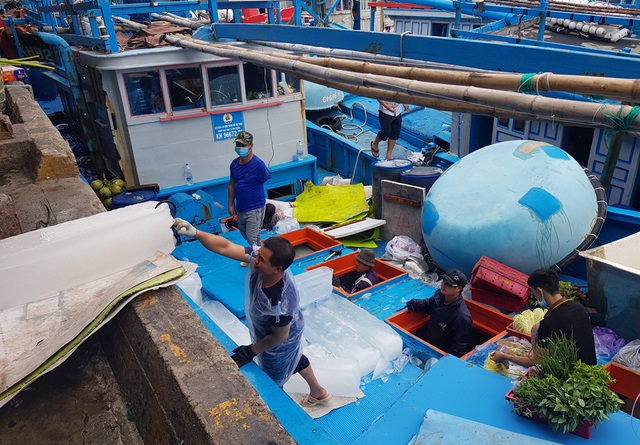 Khánh Hòa: Ngư dân bỏ Tết vươn Trường Sa, bám vụ cá ngừ đại dương - 1